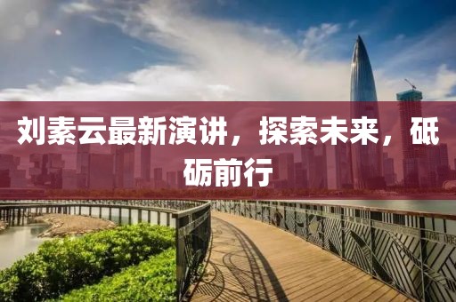 劉素云最新演講，探索未來，砥礪前行