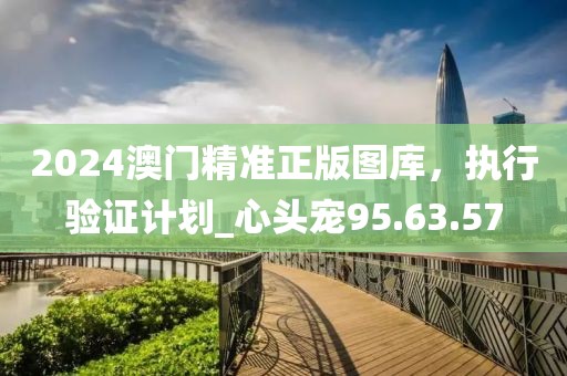 2024澳門精準正版圖庫，執行驗證計劃_心頭寵95.63.57