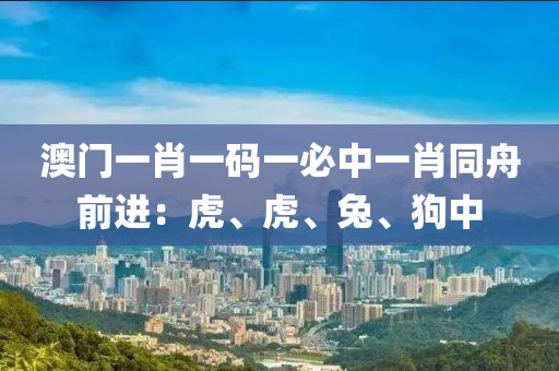 澳門一肖一碼一必中一肖同舟前進：虎、虎、兔、狗中