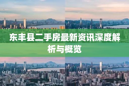 東豐縣二手房最新資訊深度解析與概覽