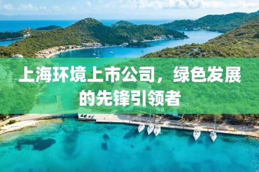 上海環境上市公司，綠色發展的先鋒引領者