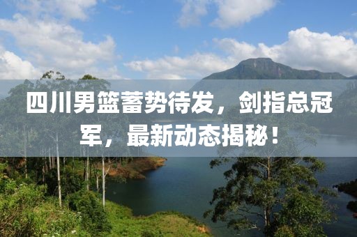 四川男籃蓄勢待發，劍指總冠軍，最新動態揭秘！