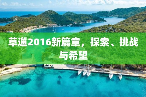 草遛2016新篇章，探索、挑戰與希望