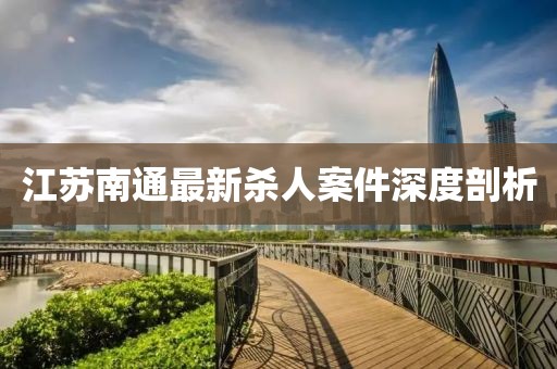 江蘇南通最新殺人案件深度剖析