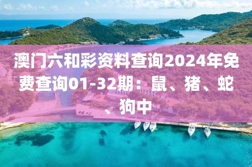 澳門六和彩資料查詢2024年免費查詢01-32期：鼠、豬、蛇、狗中