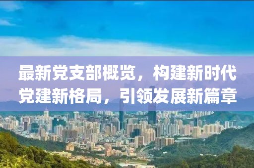 最新黨支部概覽，構建新時代黨建新格局，引領發展新篇章