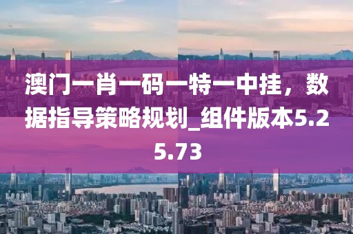 澳門一肖一碼一特一中掛，數據指導策略規劃_組件版本5.25.73
