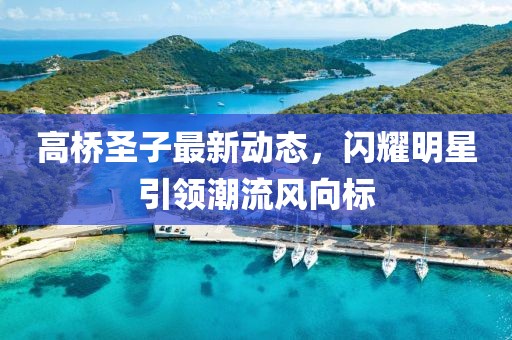 高橋圣子最新動態，閃耀明星引領潮流風向標