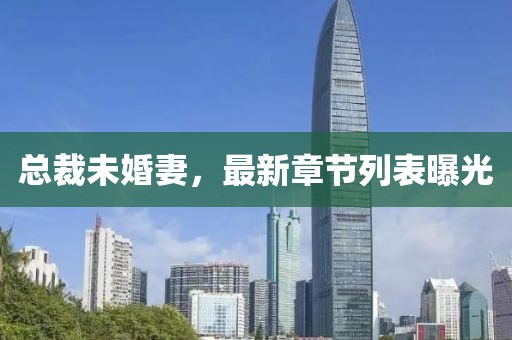 總裁未婚妻，最新章節列表曝光