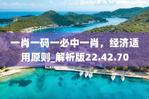 一肖一碼一必中一肖，經濟適用原則_解析版22.42.70