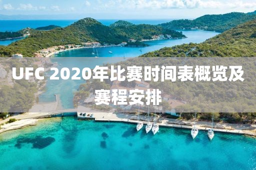 UFC 2020年比賽時間表概覽及賽程安排