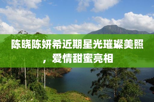 陳曉陳妍希近期星光璀璨美照，愛情甜蜜亮相