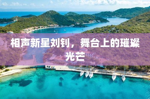 相聲新星劉釗，舞臺上的璀璨光芒