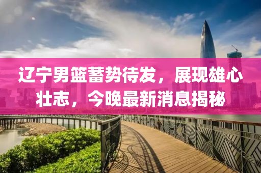 遼寧男籃蓄勢待發，展現雄心壯志，今晚最新消息揭秘