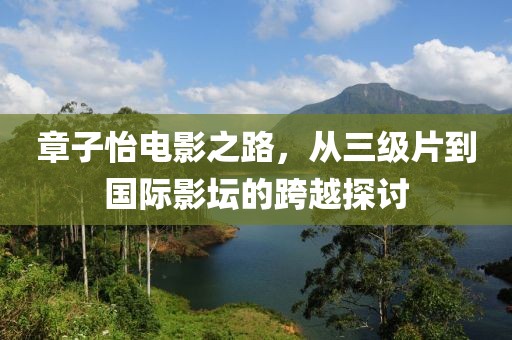 章子怡電影之路，從三級片到國際影壇的跨越探討