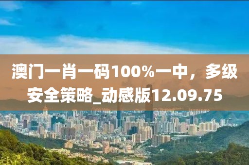 澳門一肖一碼100%一中，多級安全策略_動感版12.09.75