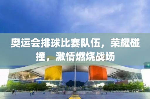 奧運會排球比賽隊伍，榮耀碰撞，激情燃燒戰場