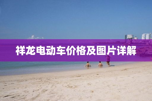 祥龍電動車價格及圖片詳解