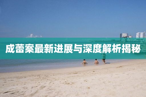 成蕾案最新進展與深度解析揭秘