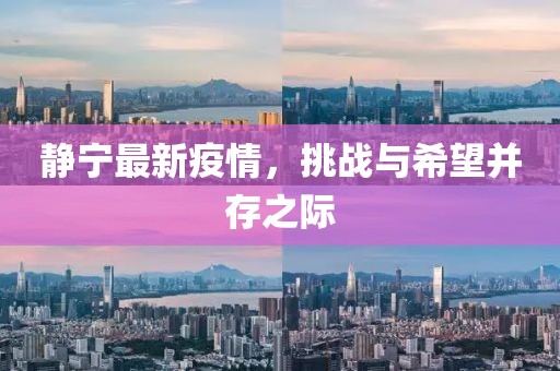 靜寧最新疫情，挑戰與希望并存之際