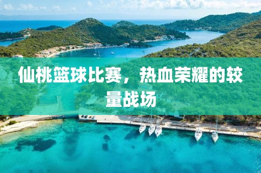 仙桃籃球比賽，熱血榮耀的較量戰場