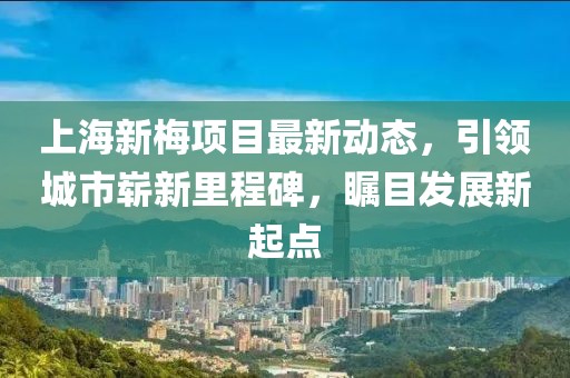 上海新梅項目最新動態，引領城市嶄新里程碑，矚目發展新起點