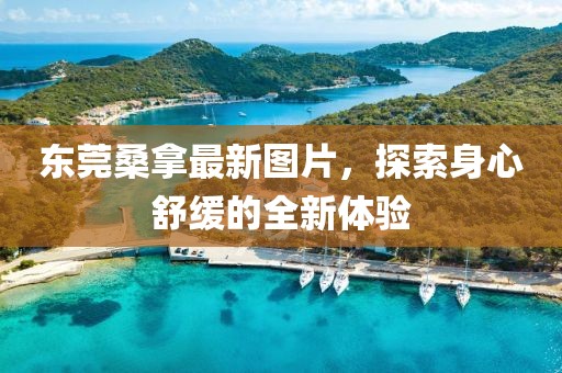 東莞桑拿最新圖片，探索身心舒緩的全新體驗