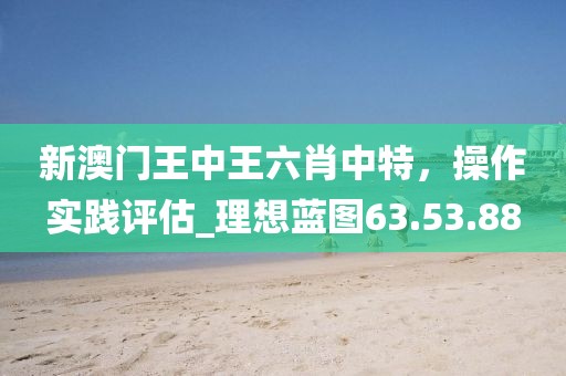 新澳門王中王六肖中特，操作實踐評估_理想藍圖63.53.88
