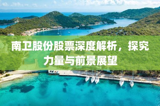 南衛股份股票深度解析，探究力量與前景展望