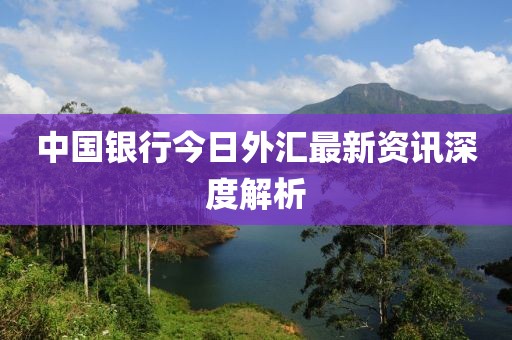 中國銀行今日外匯最新資訊深度解析