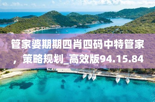 管家婆期期四肖四碼中特管家，策略規劃_高效版94.15.84
