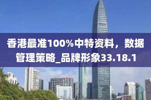 香港最準100%中特資料，數據管理策略_品牌形象33.18.1