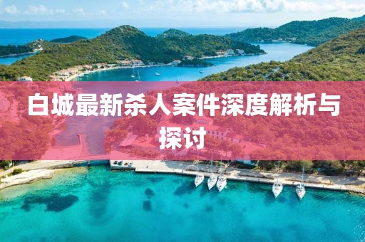白城最新殺人案件深度解析與探討