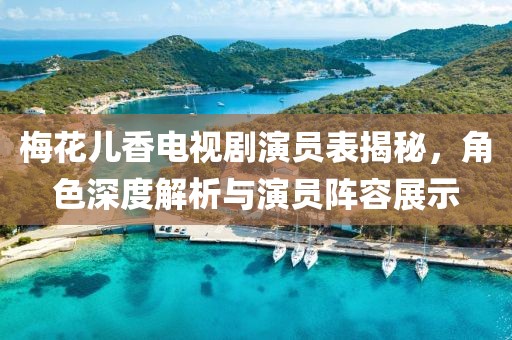 梅花兒香電視劇演員表揭秘，角色深度解析與演員陣容展示