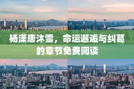 楊瀟唐沐雪，命運邂逅與糾葛的章節免費閱讀