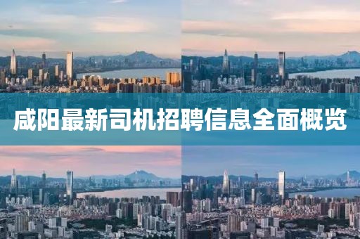 咸陽最新司機招聘信息全面概覽