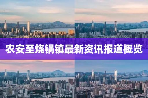 農安至燒鍋鎮最新資訊報道概覽