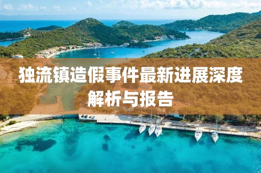 獨流鎮造假事件最新進展深度解析與報告