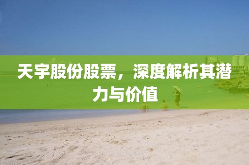 天宇股份股票，深度解析其潛力與價值