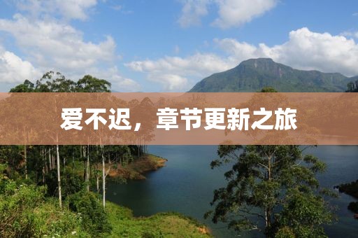 愛不遲，章節更新之旅