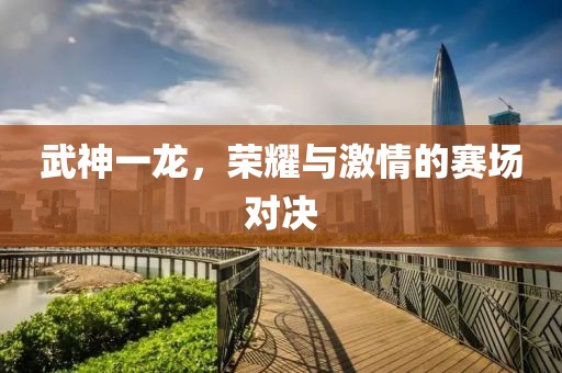 武神一龍，榮耀與激情的賽場對決