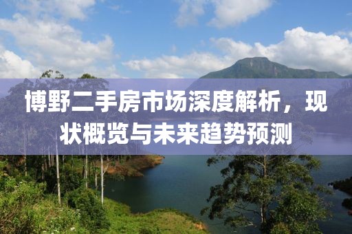 博野二手房市場深度解析，現狀概覽與未來趨勢預測