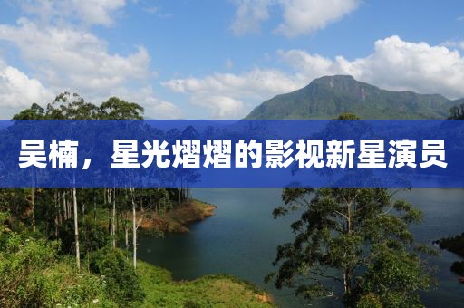 吳楠，星光熠熠的影視新星演員