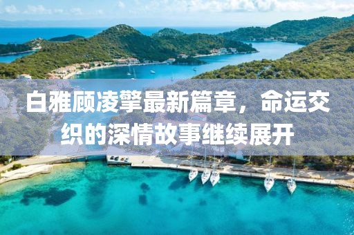 白雅顧凌擎最新篇章，命運交織的深情故事繼續展開