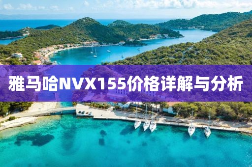 雅馬哈NVX155價格詳解與分析