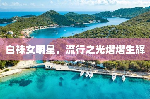 白襪女明星，流行之光熠熠生輝
