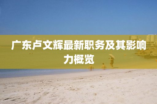 廣東盧文輝最新職務及其影響力概覽