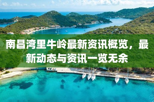 南昌灣里牛嶺最新資訊概覽，最新動態與資訊一覽無余