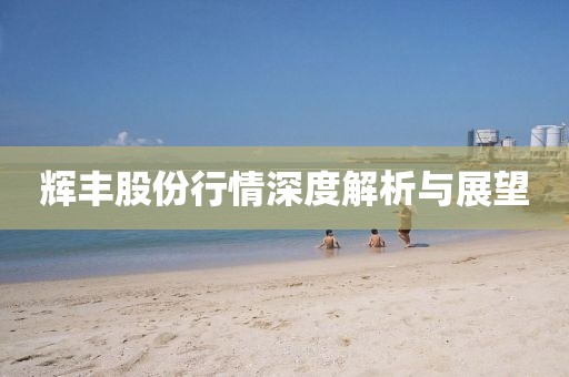 輝豐股份行情深度解析與展望