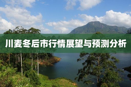 川麥冬后市行情展望與預測分析